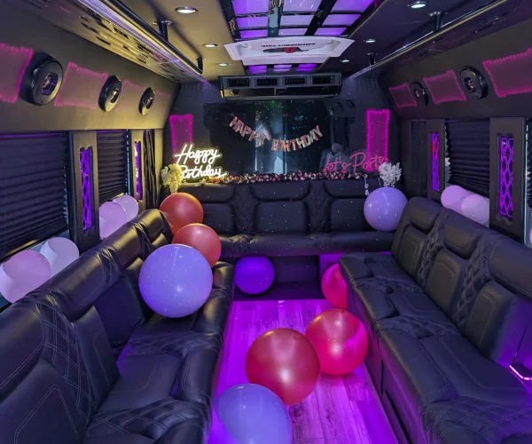 party-6
